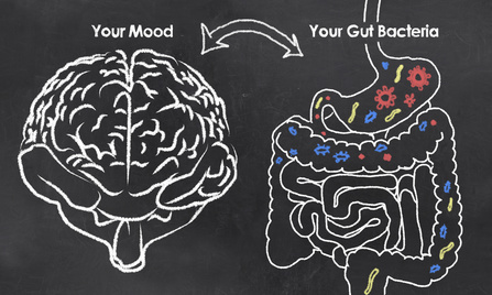 Chalk drawing of correlation between your gut microbiome and your mood.
